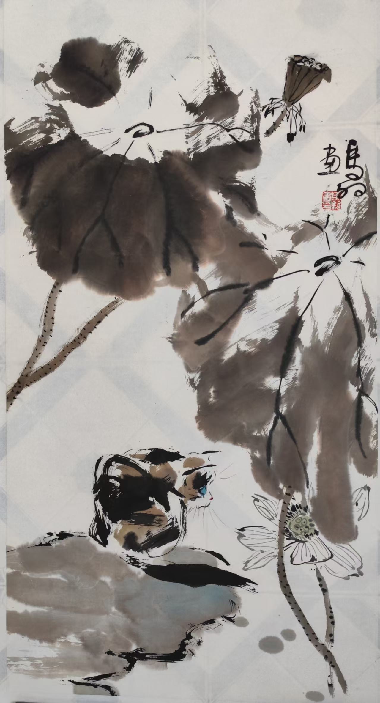 荷花小猫 荷花小猫